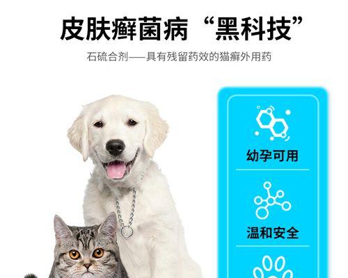 宠物犬常见病的治疗方法（详解以犬得病吃什么药）