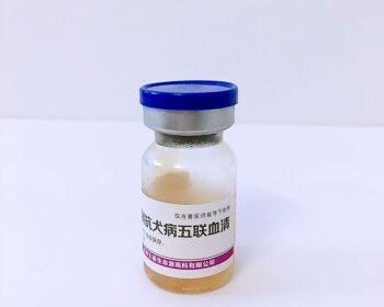如何用适当的消毒方式防止犬瘟疫情（以宠物为主）