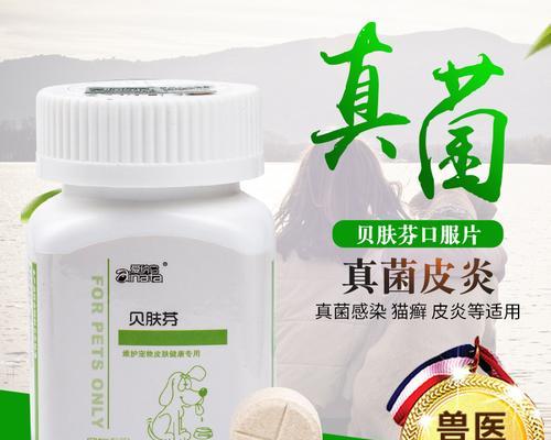 犬窝咳的预防和治疗方法（以宠物为主）