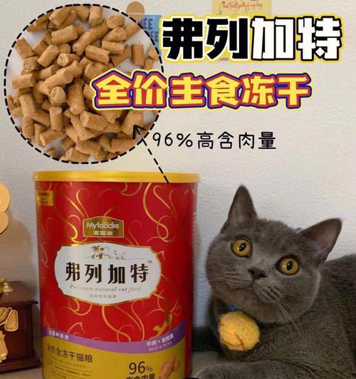 如何选择适合挑嘴猫的猫粮（从宠物健康和口味出发）