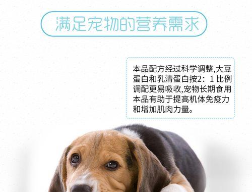 如何给宠物狗补钙（以出生小狗为例）
