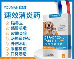 小狗发烧吃啥药（以宠物为主）