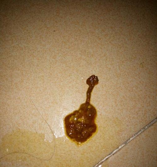 小狗拉稀的原因及治疗方法（为你的爱犬排忧解难）