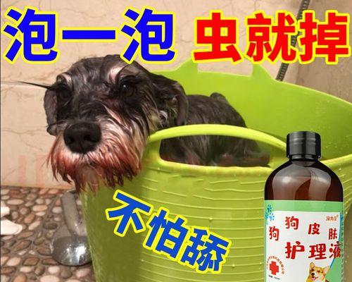 宠物驱虫（掌握正确的驱虫方法）