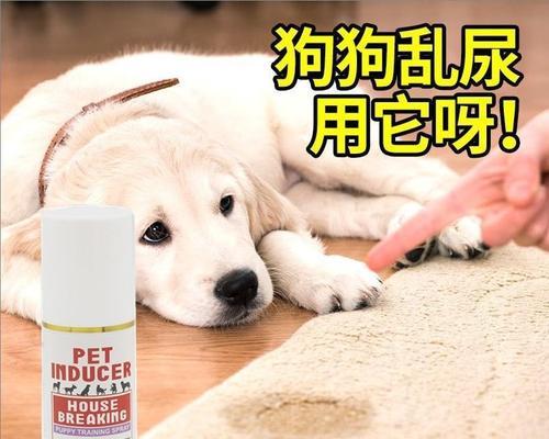 小狗闻自己屎的行为（探究宠物狗为何会闻自己的屎）
