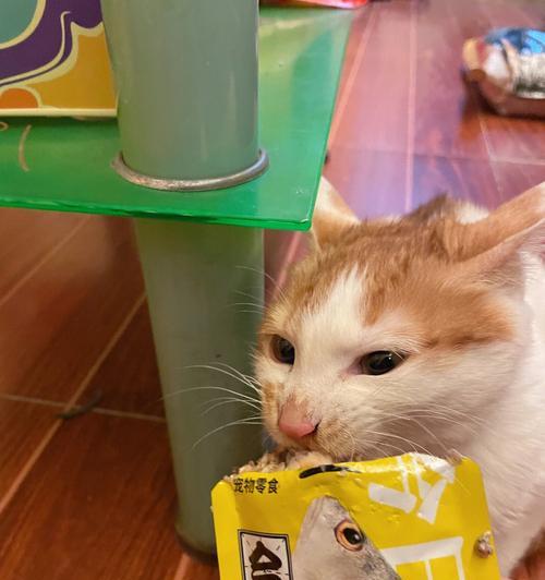小猫的零食探秘（探讨小猫爱吃的零食及其营养价值）