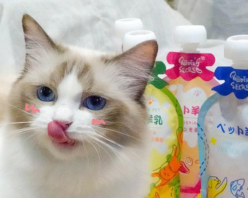 小猫缺钙怎么办（以宠物为主）