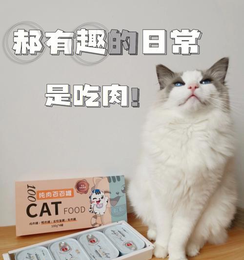 小猫吃肉的正确方式（掌握宠物饮食健康）