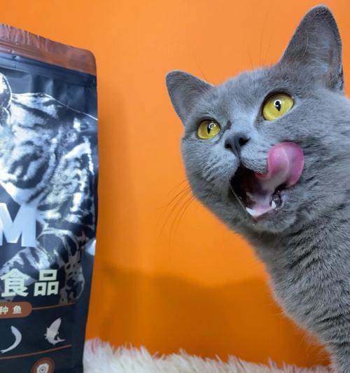 宠物猫的食肉习惯（以羊肉牛肉为主的食肉体验）