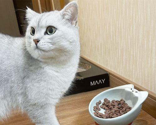 小猫的粑粑（探索小猫正常排便的特征和健康状况）