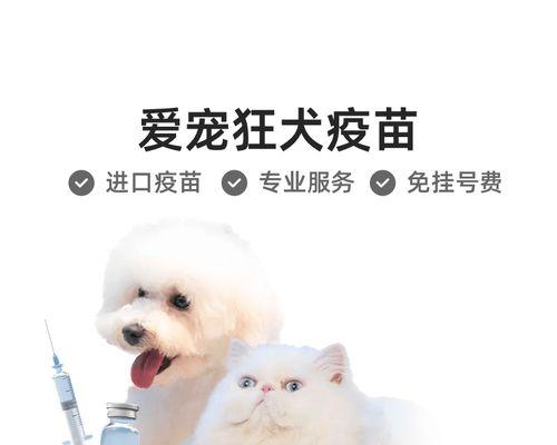狗狗狂犬疫苗洗澡全攻略（以宠物为主）