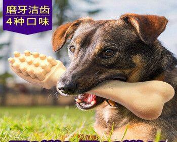 宠物必备（保护牙齿）