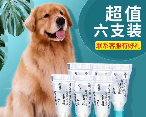 宠物驱虫指南（以狗狗体内驱虫为主）
