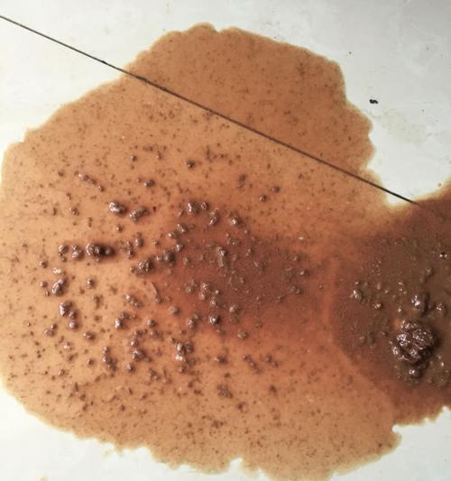狗狗细小后拉黄稀的原因和应对方法（宠物主人必读的应急指南）