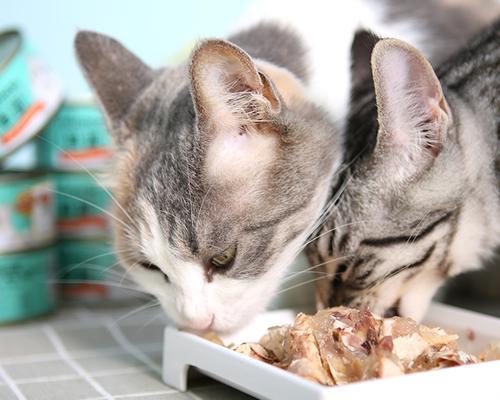 《猫咪零食，健康吃不腻》（精选零食）