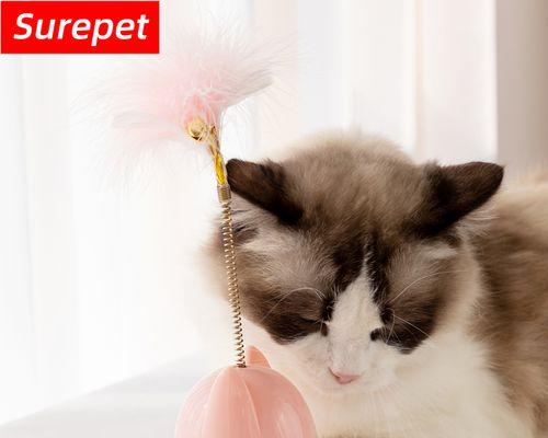 如何用逗猫棒让你的猫咪快乐无比（探讨逗猫棒对猫咪的影响及使用技巧）