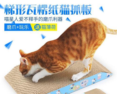 猫咪咬爪子的原因与应对方法（探究猫咪为什么会咬自己的爪子）