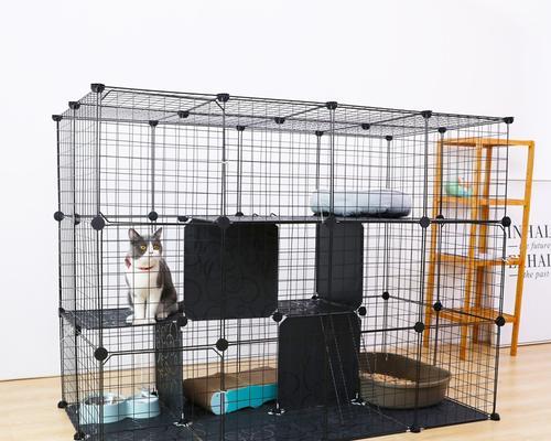 以猫咪用笼子养（探讨笼子养猫咪的利弊和注意事项）