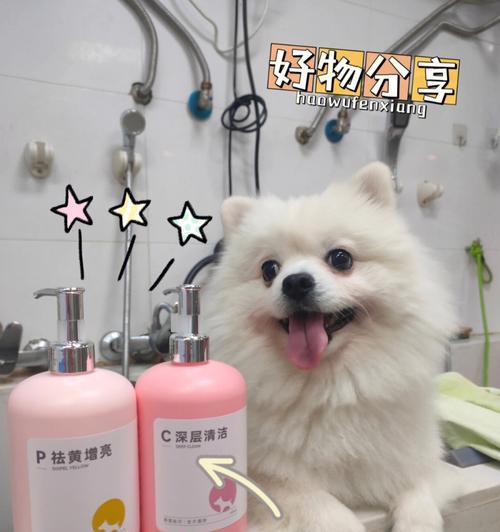 宠物沐浴露的选择与使用（以小狗人的沐浴露为例）