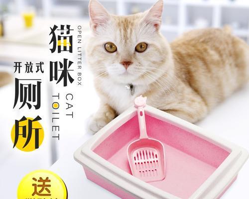 小猫的猫砂盆问题（宠物主人应该如何解决）