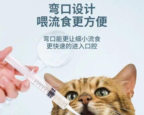 小猫三个月应该打哪些针（宠物主人必看）