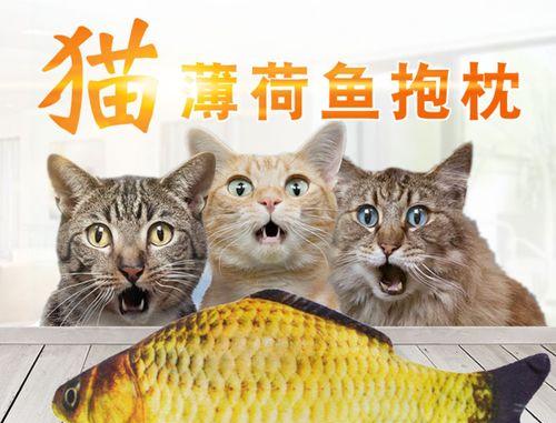 小猫喜欢吃哪些鱼类（探究小猫饮食中最喜欢的鱼种）