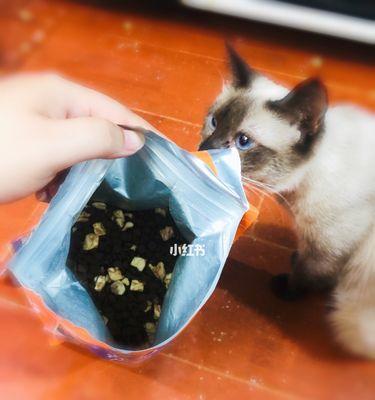 40天猫咪如何科学饲养（宠物家庭必读）
