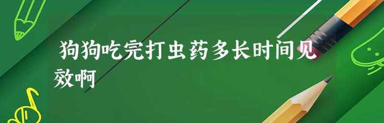 肠虫清，狗狗的健康守护（宠物寄养前后必备）