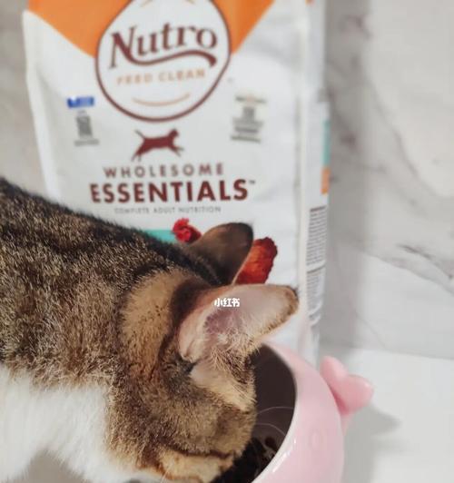 小猫能否食用成猫粮（探究成猫粮对小猫的安全性及营养价值）
