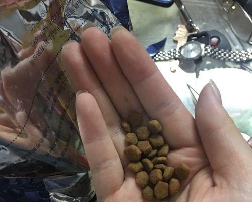 宠物关节健康从狗粮开始（以什么样的狗粮保护宠物关节健康）