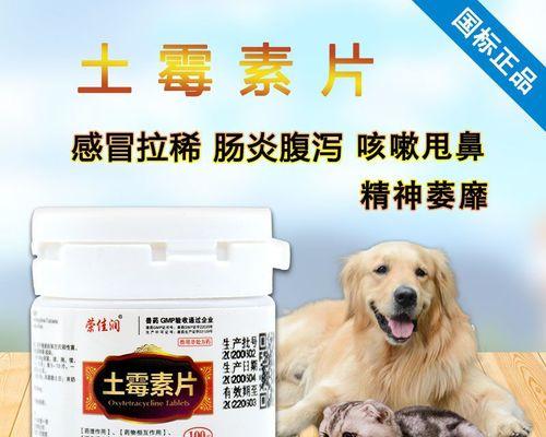 小心（狗狗拉肚子）