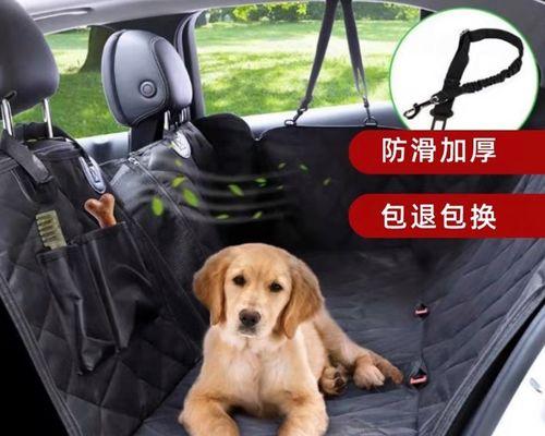 夏日出行，如何降温给宠物狗（狗狗坐车必须知道的15个小技巧）