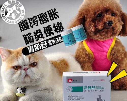 小狗吃肠胃宝需要几天（宠物健康保健必备）