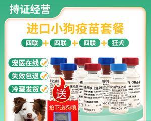 小狗细小治疗全攻略（宠物用药注意事项）