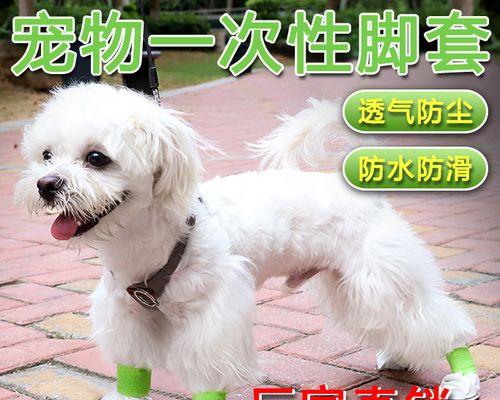 小狗多脚趾怎么剪（以宠物为主）