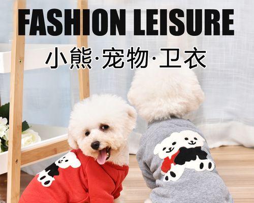 小狗狗的健康检查，需要多少费用（宠物主人必须知道的健康检查费用及项目）