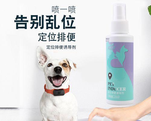 小狗尿点问题解决方法（如何让小狗在指定地点排尿）