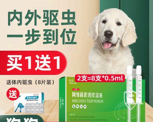 小狗误食杀虫药的应急处理方法（宠物饲养技巧——教你如何正确应对狗狗误食杀虫药的情况）
