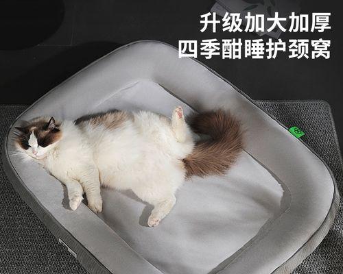 如何让你的宠物猫爱上睡窝（小猫不愿意睡窝）