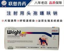 以小猫打头孢——预防宠物疾病的重要性（宠物健康从小猫开始）
