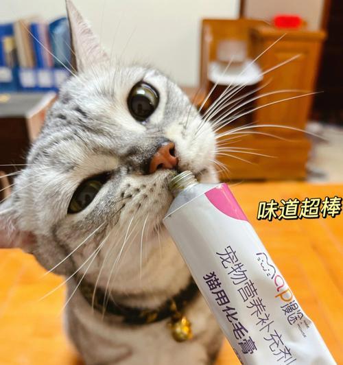 小猫何时开始喂化毛膏（如何选择适合小猫的化毛膏）