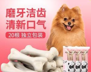 小猫如何正确利用骨头磨牙（宠物猫磨牙技巧与注意事项）