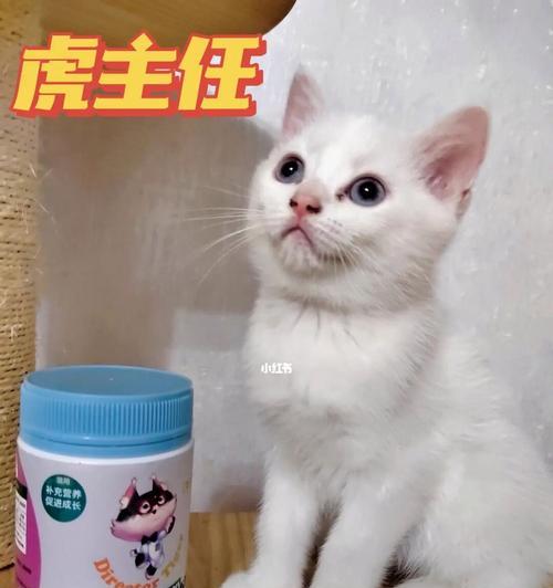 宠物喝小猫羊奶粉应该放几勺（以宠物为主）