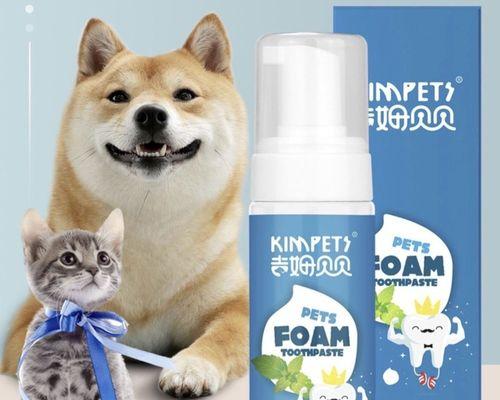 解决宠物口臭问题的实用方法（从小猫开始）