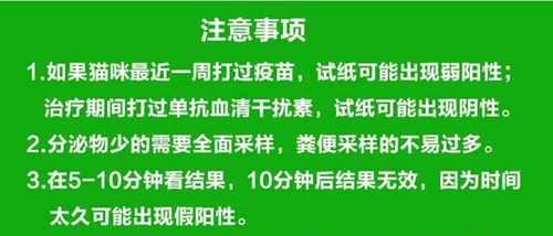 猫瘟会感染人吗（宠物爱好者必读）