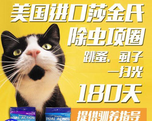猫咪跳蚤如何治疗（宠物跳蚤危害大）