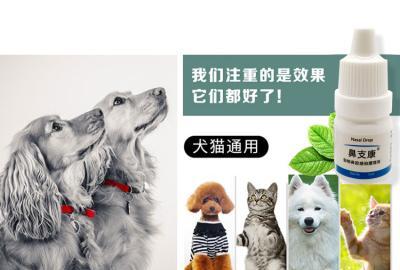 猫咪打喷嚏怎么办（宠物医生教你如何选购适合猫咪的药品）