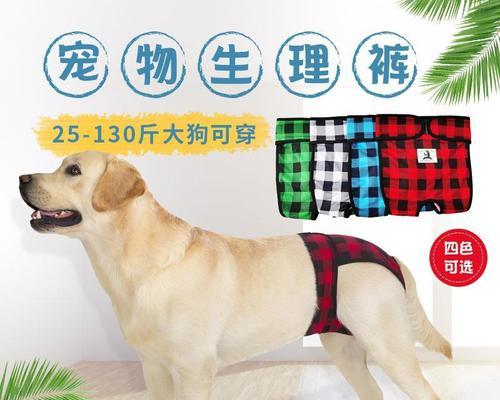母狗生小狗的饮食指南（让您的宠物健康成长）