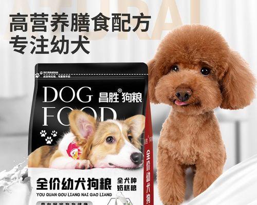 三个月的金毛如何正确吃干狗粮（金毛宝宝的饮食习惯与健康）