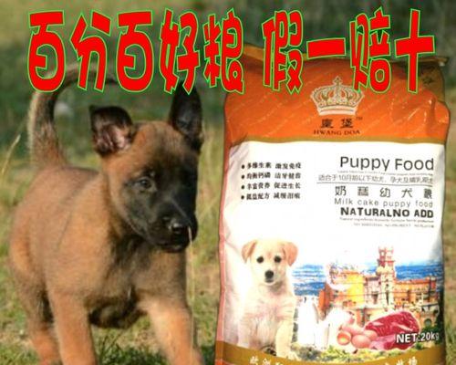 以宠物为主，让泰迪健康成长（以宠物为主）